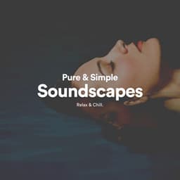 Pure & Simple Soundscapes - Binaural Beats by Relax & Chill