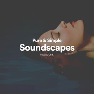 Pure & Simple Soundscapes - Binaural Beats by Relax & Chill