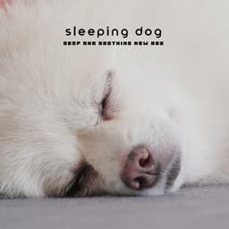 Sleeping Dog – Deep and Soothing New Age Pet Time - Pets Music