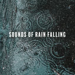 Sounds of Rain Falling: Study Music with Rain, Relaxing Sounds of Nature, Sleep Hypnosis, Nature Sounds for Reading, Distant Thunderstorm - Hypnosis Nature Sounds Universe
