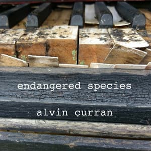 Alvin Curran: Endangered Species - Alvin Curran