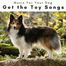 1 Get the Toy Songs - Music For Your Dog