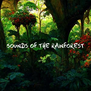 Sounds of the Rainforest: Natural Waves of Tranquility - Mother Nature Sound FX
