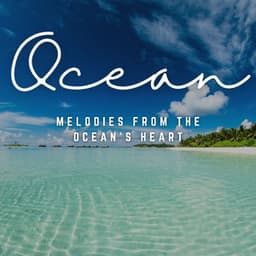 Acoustic Tides: Melodies from the Ocean's Heart - Imaginacoustics