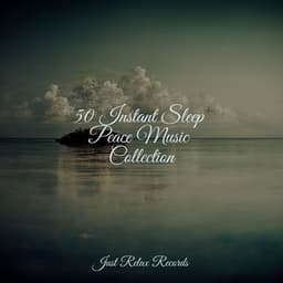 50 Instant Sleep Peace Music Collection - CANCIONES DE CUNA