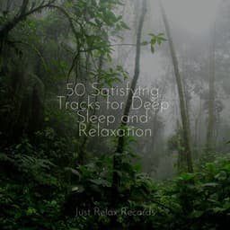 50 Satisfying Tracks for Deep Sleep and Relaxation - Calm Music for Studying