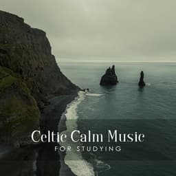 Celtic Calm Placid Studying - Alys Coliere
