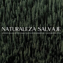 Naturaleza Salvaje: Sonidos Relajantes Del Bosque Para Un Entrenamiento De Yoga Corporal Total - El colectivo de la selva tropical