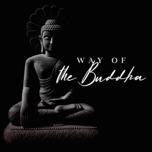 Voie du Bouddha: Coexistence Esprit et Corps, Méditation Zen Profonde, Techniques de Respiration - Sanctuaire de méditation bouddhiste