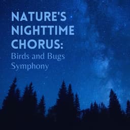 Nature's Nighttime Chorus: Birds and Bugs Symphony - HD Nature Sound Library