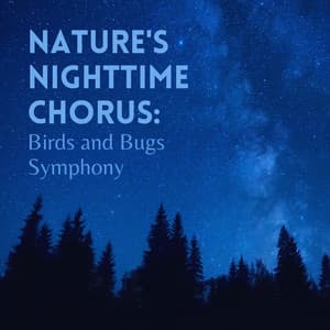 Nature's Nighttime Chorus: Birds and Bugs Symphony - HD Nature Sound Library