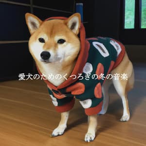 愛犬のためのくつろぎの冬の音楽 - Jazz For Sleep