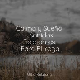 Calma y Sueño - Sonidos Relajantes Para El Yoga - Música para Dormir Con Relajantes Sonidos de la Naturaleza