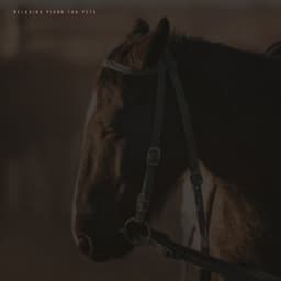 Music For Horses - Relaxing Piano For Pets