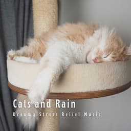 Cats and Rain: Dreamy Stress Relief Music - Olivia Rain