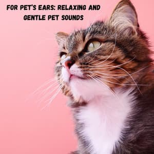 For Pet’s Ears: Relaxing and Gentle Pet Sounds - Relaxing Guru