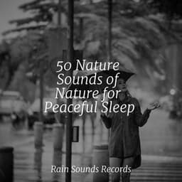 50 Nature Sounds of Nature for Peaceful Sleep - Sons da natureza HD