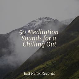 50 Meditation Sounds for a Chilling Out - Ambient