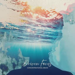 Driven Focus - Concentrational Brain