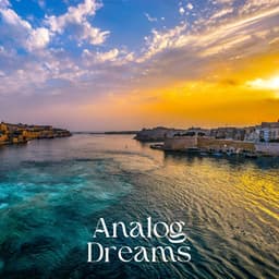 Analog Dreams - Ibiza Deep House Lounge