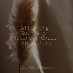 Affirming Sounds of Nature | Chill Atmosphere - Kinderliederbande