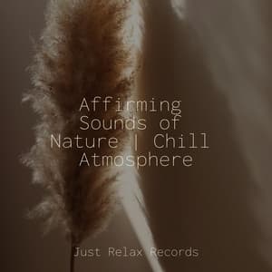 Affirming Sounds of Nature | Chill Atmosphere - Kinderliederbande