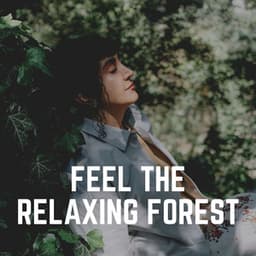 Feel the Relaxing Forest - The Nature Soundscapes
