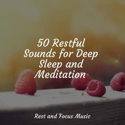 50 Restful Sounds for Deep Sleep and Meditation - Zarobi