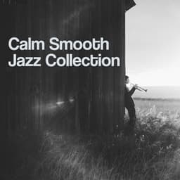 Calm Smooth Jazz Collection – Relaxing Background Jazz Hits, Piano Instrumental Sounds, Smooth Jazz - Smooth Jazz Park