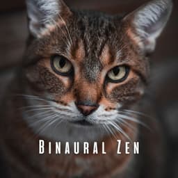 Binaural Zen: Calming Rain and Theta Waves for Anxious Cat - Rainfall