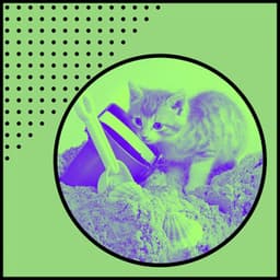 Backdrop for Friendly Cats - Trumpet and Alto Sax - Cat Relax