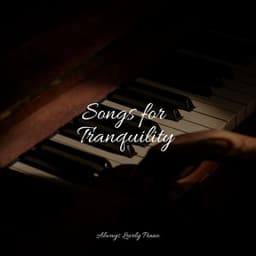 Sounds of Pure Calm - Piano Prayer