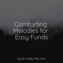 Comforting Melodies for Easy Funds - Lush Rain Creators