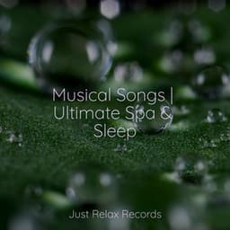 Musical Songs | Ultimate Spa & Sleep - Música a Relajarse