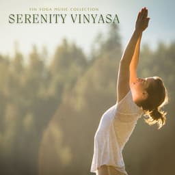 Serenity Vinyasa: Yoga Music for Focus - Yin Yoga Music Collection