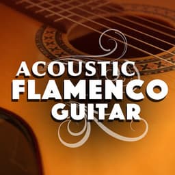 Acoustic Flamenco Guitar - The Acoustic Guitar Troubadours