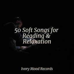 50 Soft Songs for Reading & Relaxation - Yoga Sounds