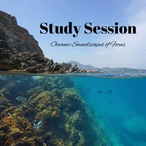 Study Session: Oceanic Soundscapes of Focus - Ocean Waves