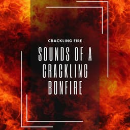 Sounds of a Crackling Bonfire - Crackling Fire