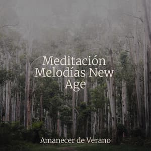 Meditación Melodías New Age - Sons da Natureza