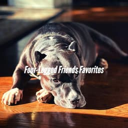 Four-Legged Friends Favorites - Dog Music Hour