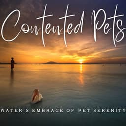 Ambient Waterscapes: Binaural Harmony for Contented Pets - Binaural Doctor