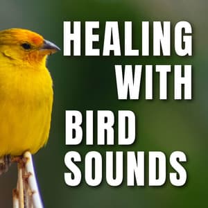 Healing with Bird Sounds - Bird Sounds