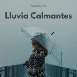 Sonidos De Lluvia Calmantes - La biblioteca de la lluvia