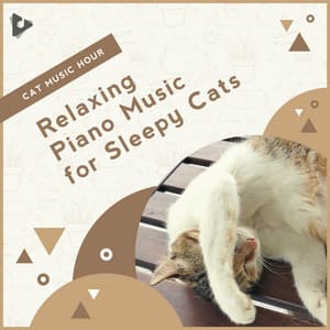 Relaxing Piano Music for Sleepy Cats - Cat Music Hour
