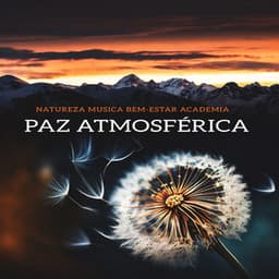Paz Atmosférica - Natureza Musica Bem-Estar Academia