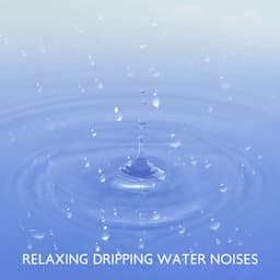 Relaxing Dripping Water Noises - Calming Waters Consort