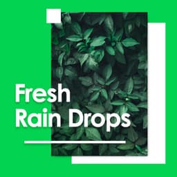 Fresh Rain Drops - Rain Sounds Sleep
