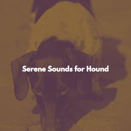 Serene Sounds for Hound - Singapore Restaurant Jazz