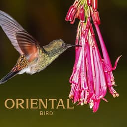 Oriental Bird: Deep Asian Trance Meditation, Sound Remedy for Stress and Anxiety - Oriental Music Zone